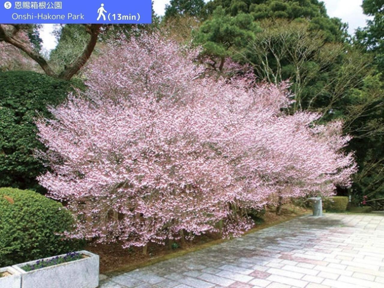 Yoichi * Hakone