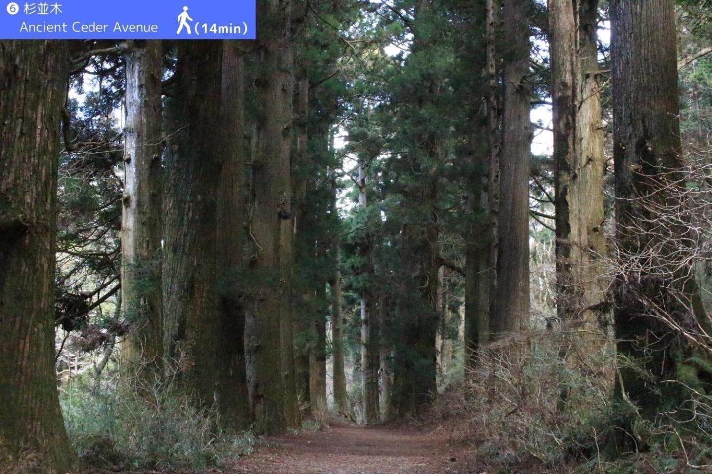 別荘 Yoichi
